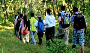 चितवनकाे मध्यवर्ती सामुदायिक वनले पर्यटन तथा संरक्षण शुल्क लिने निर्णय